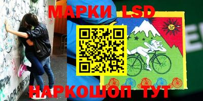 стаф Бузулук