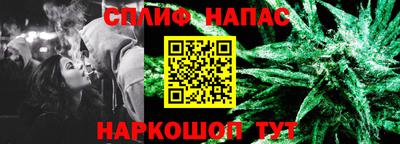 стаф Бузулук