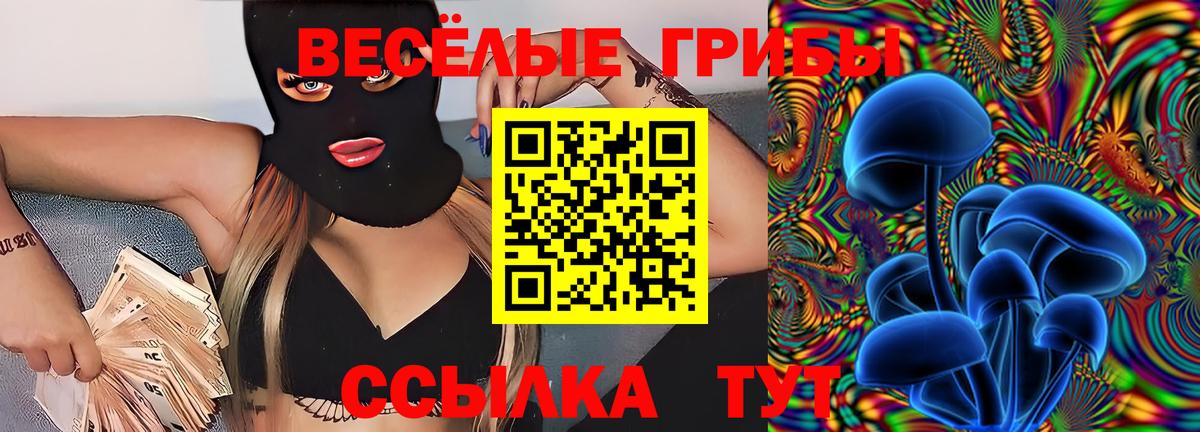 Галлюциногенные грибы мицелий Сокол