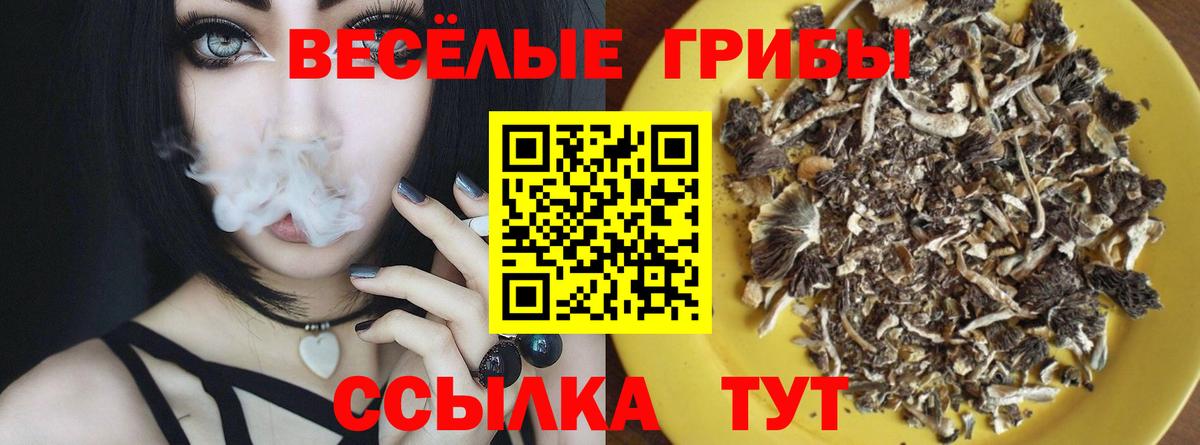 Сокол  Псилоцибиновые грибы прущие грибы  Псилоцибиновые грибы мухоморы  Вход с VPN 